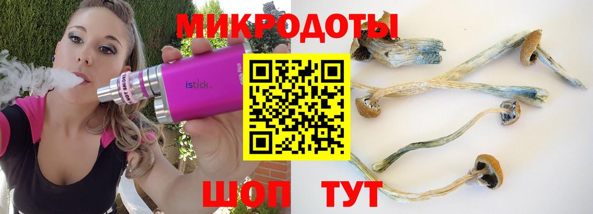 Галлюциногенные грибы Psilocybine cubensis  Вход с VPN  Нарткала 